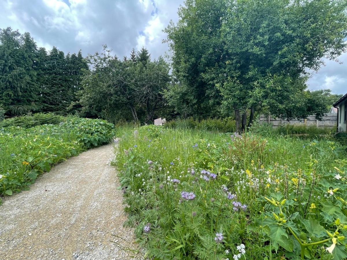 The Bearded Goat Den - A Rural Retreat At This Modern Holiday Cottage Saint Leonards Kültér fotó