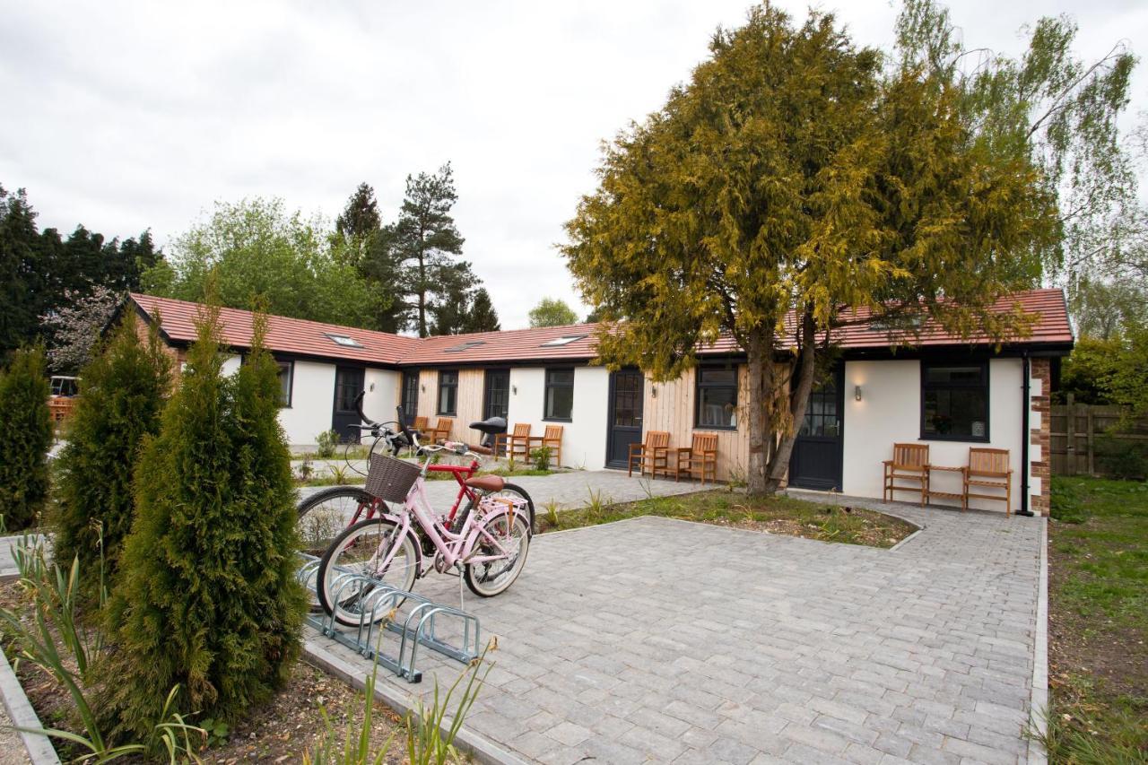 The Bearded Goat Den - A Rural Retreat At This Modern Holiday Cottage Saint Leonards Kültér fotó
