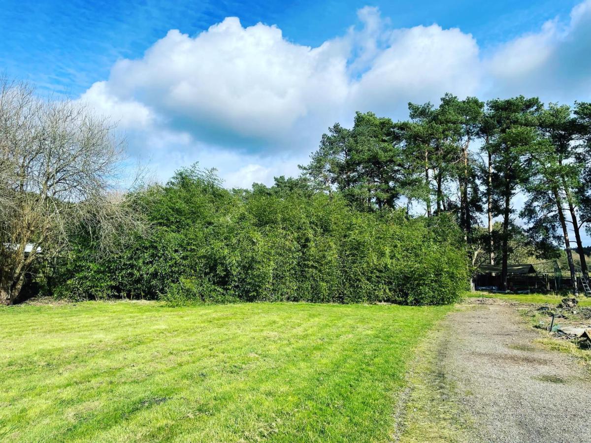 The Bearded Goat Den - A Rural Retreat At This Modern Holiday Cottage Saint Leonards Kültér fotó