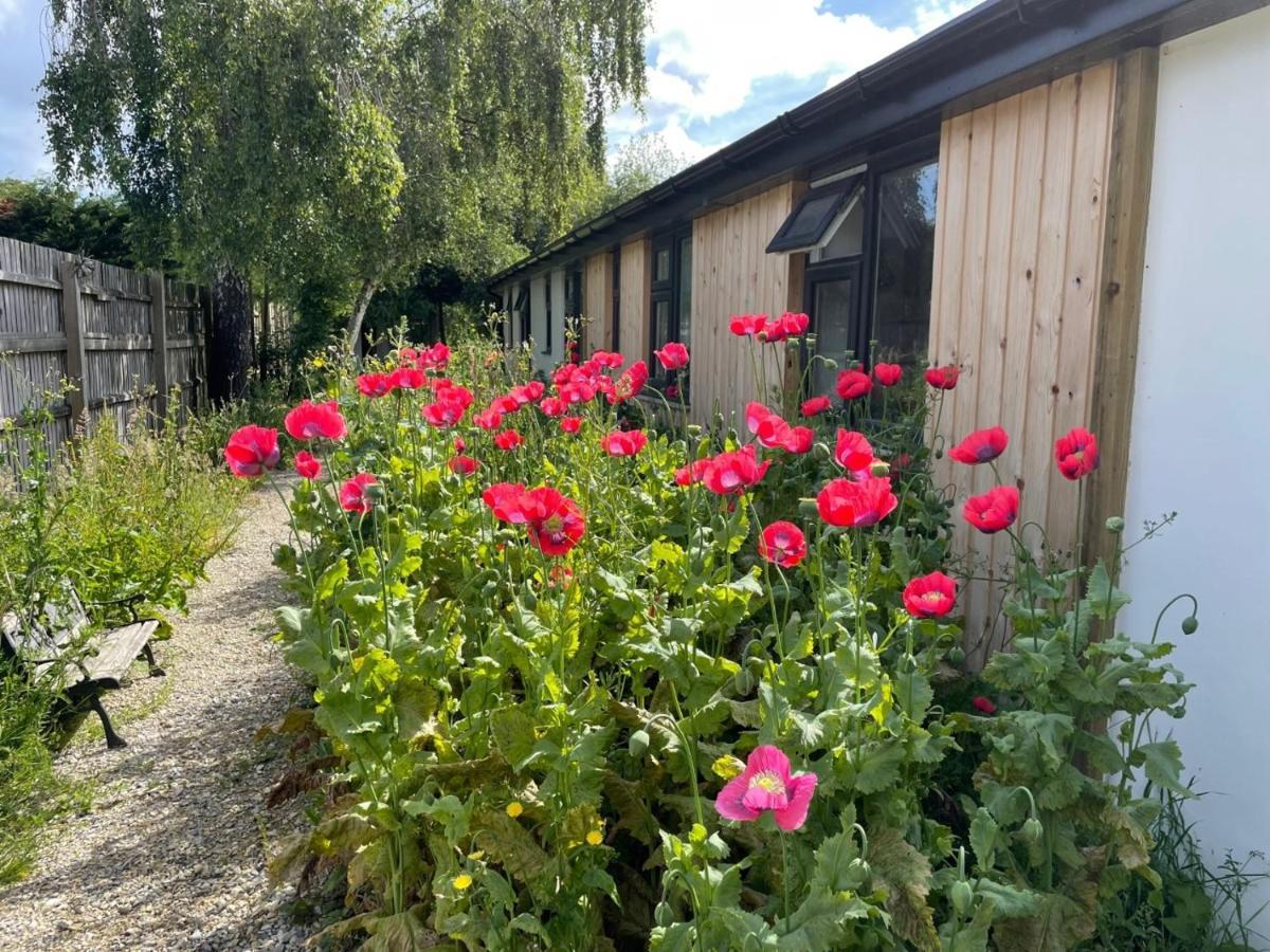 The Bearded Goat Den - A Rural Retreat At This Modern Holiday Cottage Saint Leonards Kültér fotó